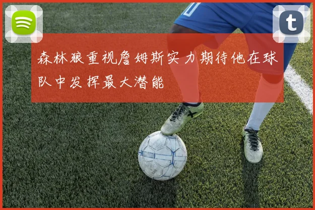 森林狼重视詹姆斯实力期待他在球队中发挥最大潜能