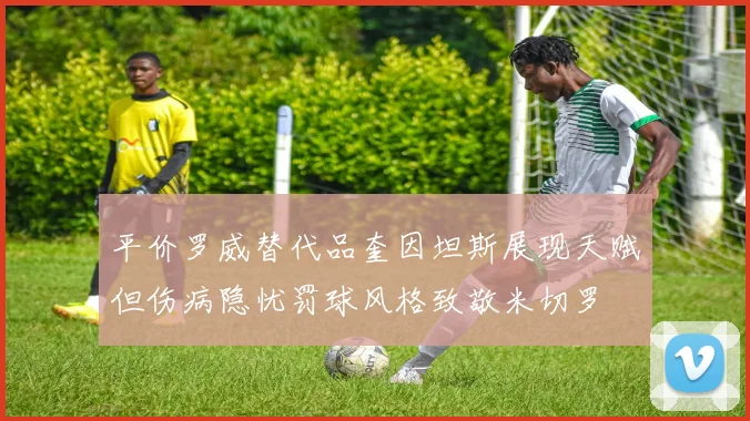 平价罗威替代品奎因坦斯展现天赋但伤病隐忧罚球风格致敬米切罗
