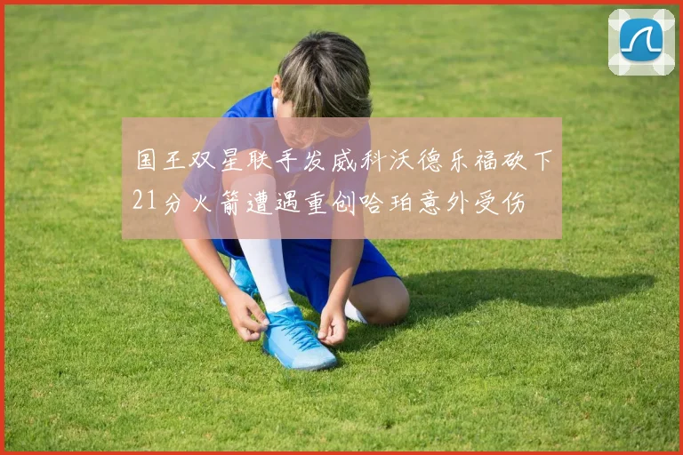国王双星联手发威科沃德乐福砍下21分火箭遭遇重创哈珀意外受伤